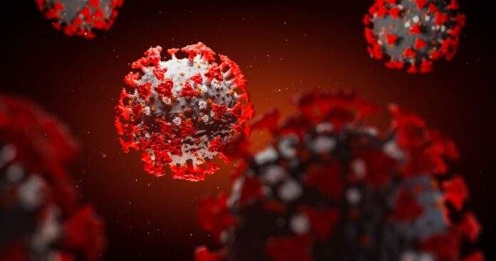 Confirmed coronavirus cases in the US top 4 million