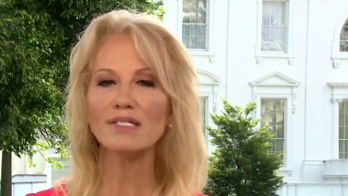 Conway fires back on NYT Russia bounty story: ‘Trump wasn’t briefed because it wasn’t verified’