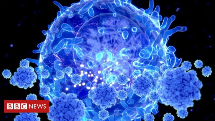 Coronavirus: Immunity may be more widespread than tests suggest