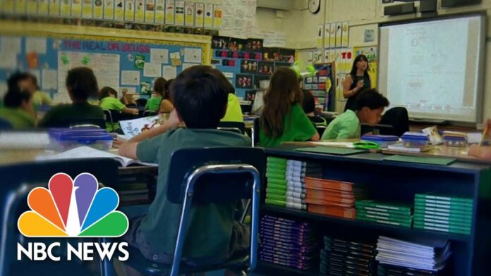 Coronavirus: Pediatric Group Calls To Reopen Schools By Start Of Academic Year | NBC Nightly News