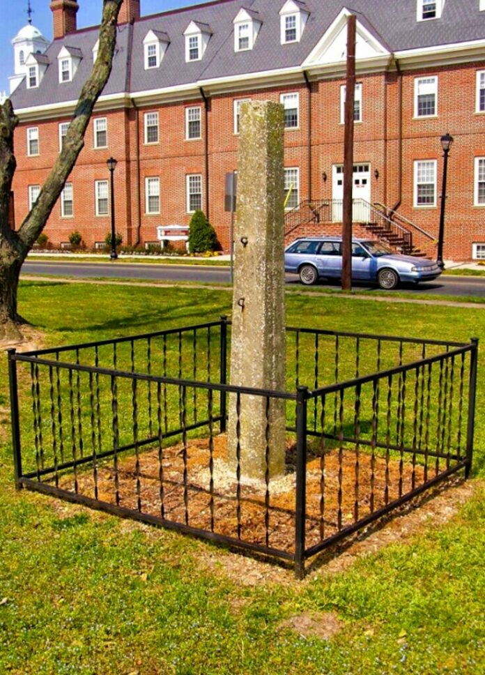 Delaware removes state’s last whipping post on public grounds