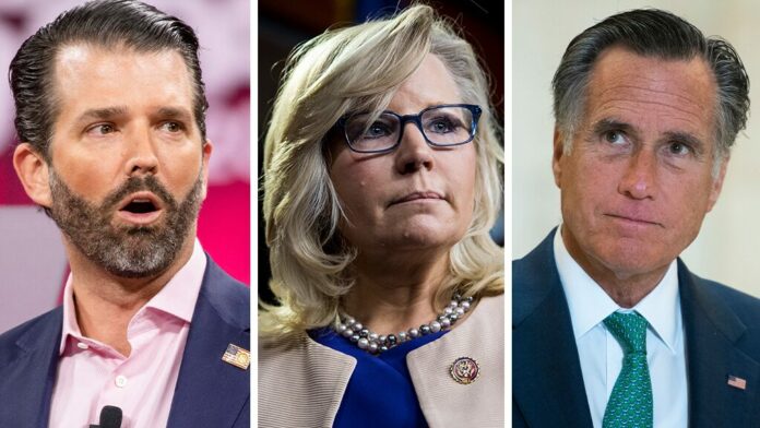 Donald Trump Jr. pans Liz Cheney amid GOP criticism: ‘We don’t need another’ Mitt Romney