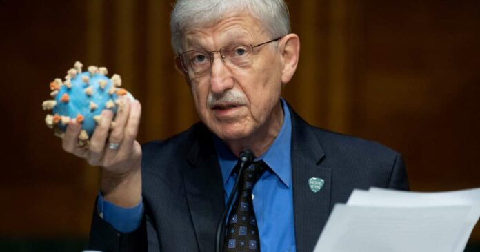 Early COVID-19 Vaccine Results Look ‘Really Encouraging,’ Says NIH Boss Dr. Francis Collins