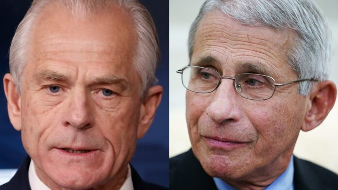 Fact check: Peter Navarro’s claims about Dr. Anthony Fauci are misleading, lack context