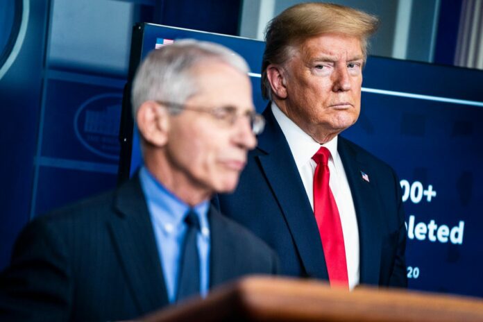 Fauci Pushes Back On Trump’s False Claims, Says He Hasn’t Briefed President In 2 Months
