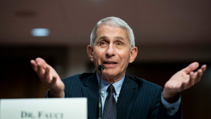 Fauci says states need to address problems with COVID-19 response: ‘If you don’t admit it, you can’t correct it’