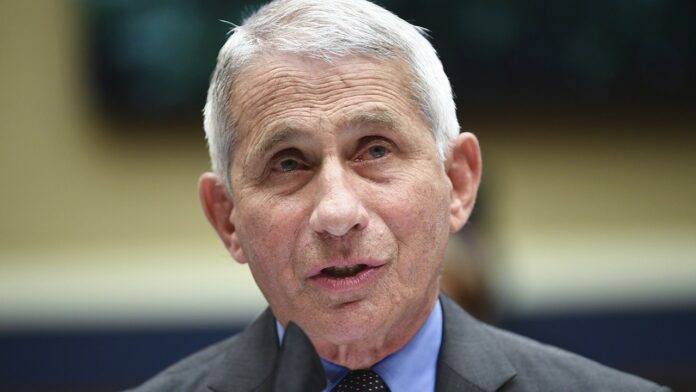 Fauci says White House attempts to discredit him ‘bizarre’