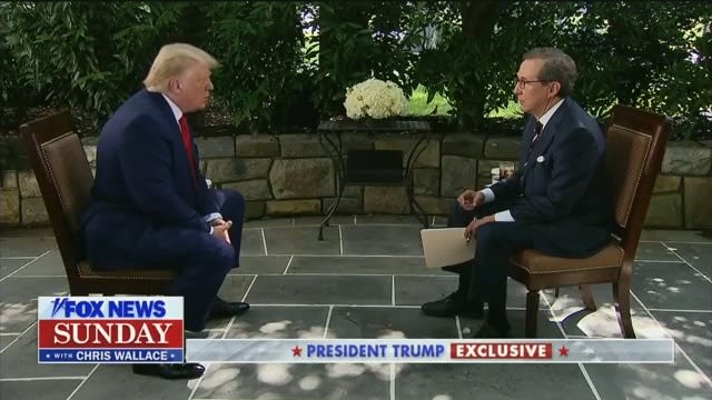 Fox News’ Chris Wallace to Trump: Cognitive Exam ‘Not the Hardest Test’, Involves Identifying an Elephant