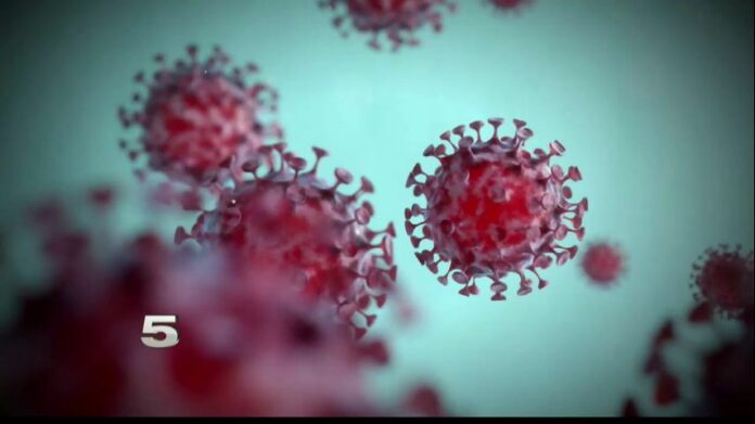 Hidalgo County announces 31 more coronavirus-related deaths, 396 additional cases