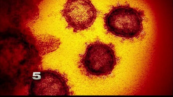 Hidalgo County announces 33 more coronavirus-related deaths, 813 additional cases