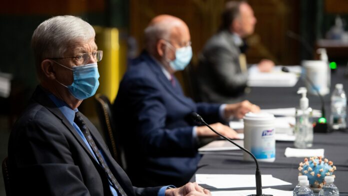‘I’m a scientist, not a politician’: Health officials answer senators on COVID-19 vaccine
