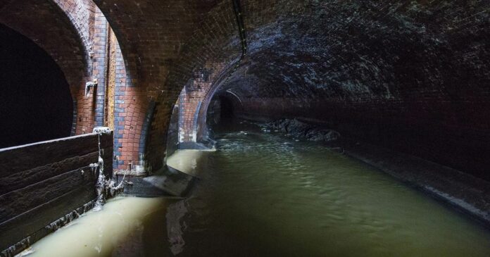 In search for a coronavirus early warning system, scientists look to the sewers