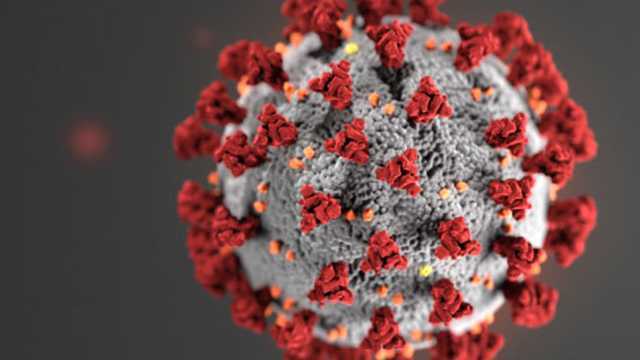 Latest coronavirus data released from South Carolina health officials