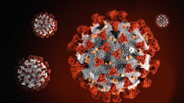 Maine CDC reports 13 new coronavirus cases, no new deaths