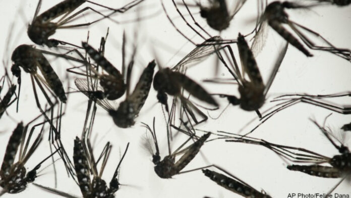 Mosquito-borne virus turns up in Ottawa County resident