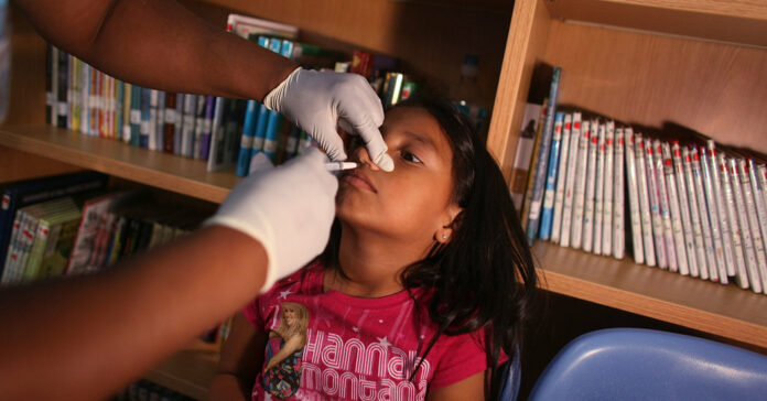 Nasal Coronavirus Vaccines May Work Better Than Injected Ones, Researchers Say