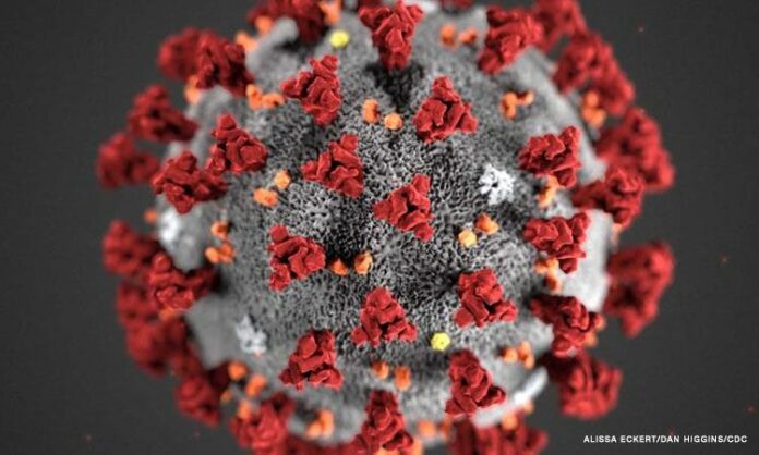 New form of coronavirus spreads faster, but doesn’t make people sicker, new study says