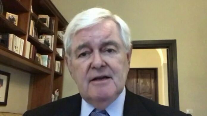 Newt Gingrich: Only one way to end left-wing ‘revolutionary cycle’