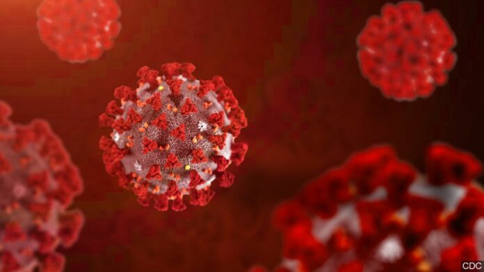 Percentage of positive coronavirus test results continues to climb, DHS confirms 830 new cases