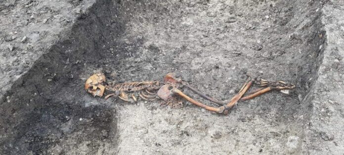 Potential Iron Age ‘murder victim’ discovered