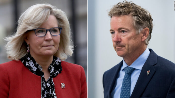 Rand Paul on Liz Cheney: ‘I don’t think she’s good for the country’