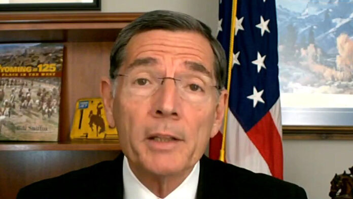 Sen. Barrasso on what needs to be in next COVID-19 stimulus bill