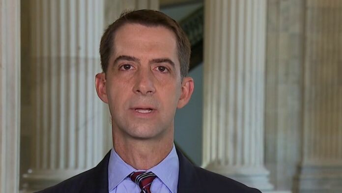 Sen. Cotton: Cannot allow anarchists, insurrectionist to destroy federal property