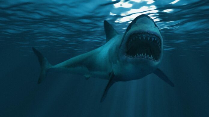 Shark ‘grabbed’ 10-year-old boy from boat in Tasmania: report