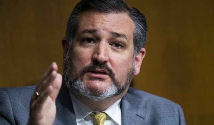 Ted Cruz seeks to hold hands-off local officials liable for protest, rioting damage