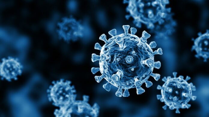 Texas doctors rank activities posing greatest risks for contracting coronavirus