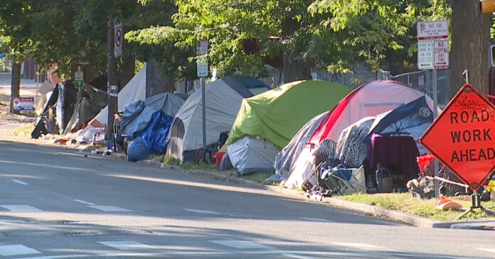 Trench fever, a rare condition, found among Denver homeless