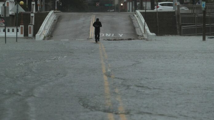 Tropical Storm Hanna Unleashes Flooding, Power Outages Across South Texas, Northeastern Mexico