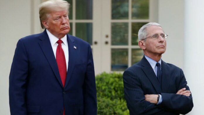 Trump says he has ‘very good relationship’ with Fauci after White House official criticizes doctor