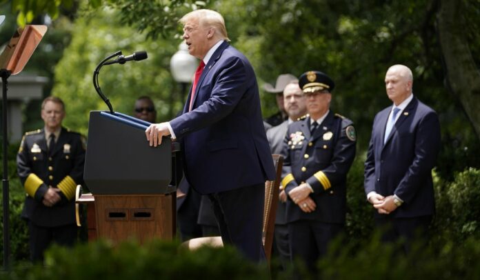 Trump says more Whites killed by police than Blacks