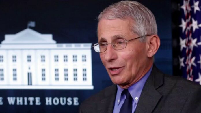 Trump White House slams Fauci, cancels his TV appearances