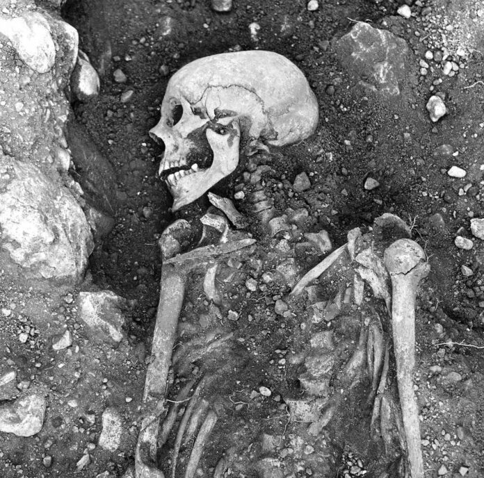 Vikings Had Early Version of the ‘Deadliest Virus’