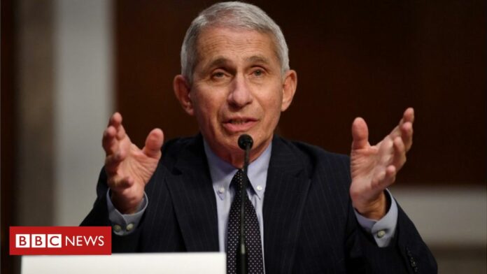 white-house-targets-us-disease-chief-fauci.jpg White House targets US disease chief Fauci