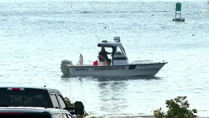 Woman killed in an apparent shark attack in Maine