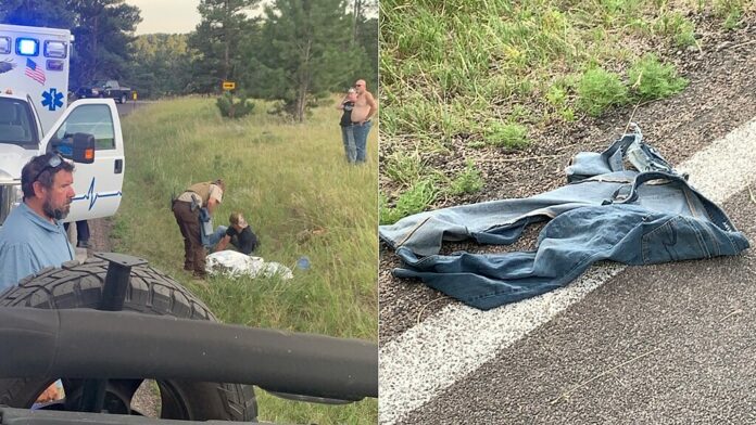 Bison attacks woman in South Dakota for getting too close to calf: See the video