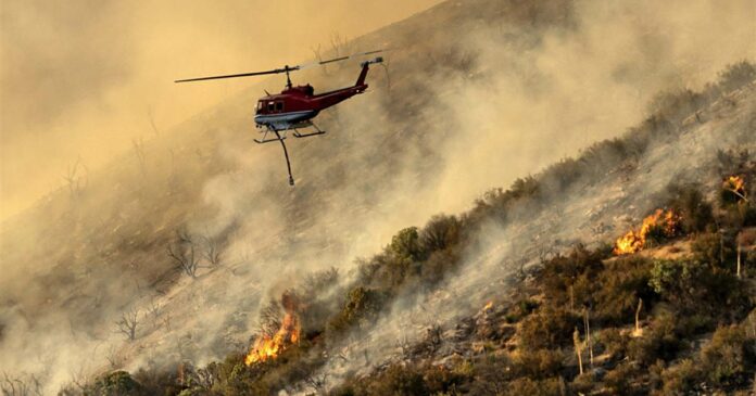 California firefighters face flames, heat and a bull