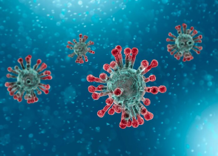 Coronavirus projection for US forecasts 317,697 deaths by December