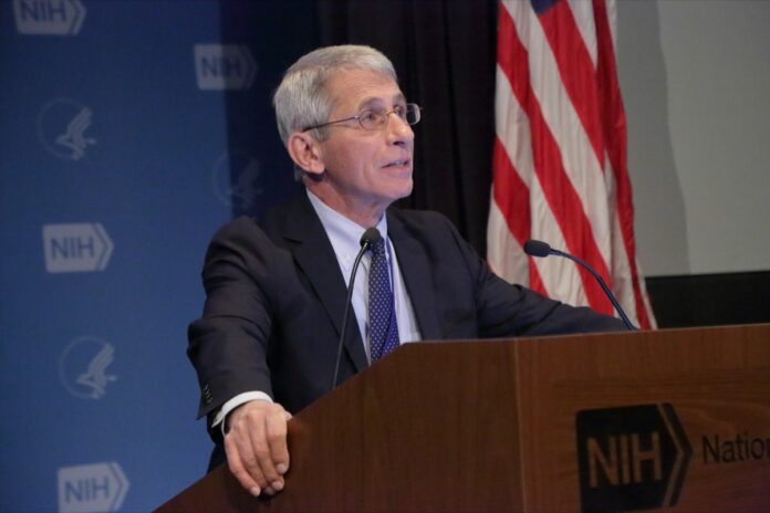 Dr. Fauci Says These States are in Danger From COVID-19