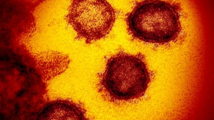 Erie County Sets Record, Single-Day Increase of 42 New Coronavirus Cases Tuesday