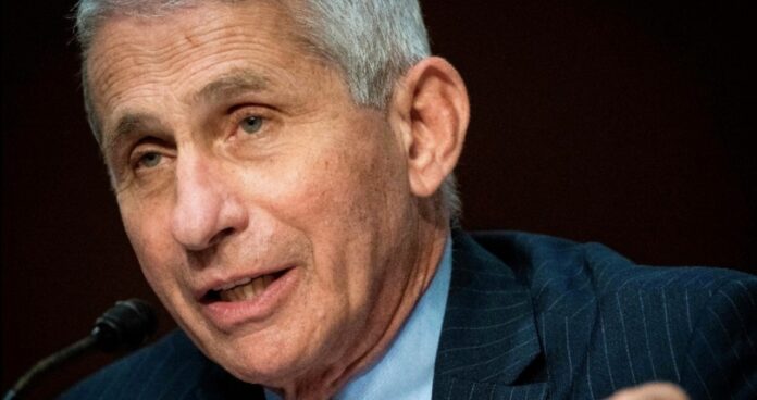 Fauci says there is ‘no reason’ Americans can’t vote in person in November