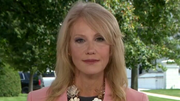 Kellyanne Conway to leave post in the White House to focus on her family
