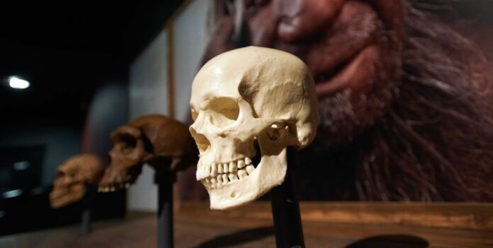 Neanderthal Genetics May Explain Your Low Tolerance for Pain