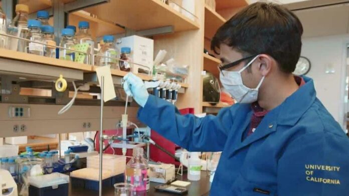 NorCal scientists develop COVID-19 antiviral nasal spray, inhaler