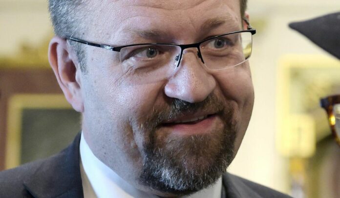 Sebastian Gorka on Joe Biden’s search for VP: ‘Martin Luther King is spinning in his grave’