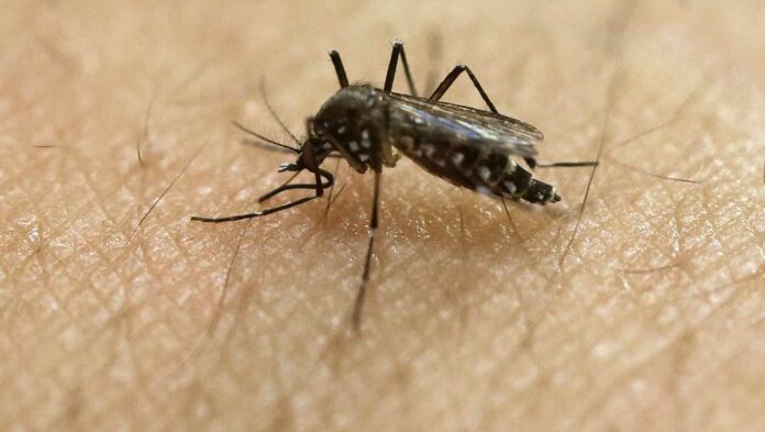 State health officials report first human EEE case of 2020 in Massachusetts