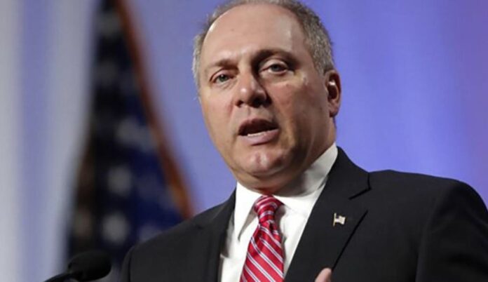 Steve Scalise reacts to D.C. anarchy after RNC: ‘We have to stand up,’ Biden won’t